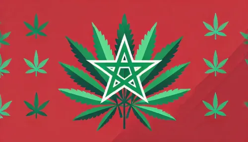 Marruecos produjo 4.082 toneladas de cannabis legal en 2024