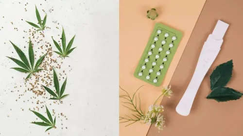 Imagem da noticia: O CBD corta o efeito do anticoncepcional? Descubra