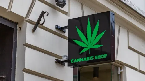 Imagem da noticia: Como montar um negócio de cannabis e obter licença nos EUA