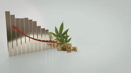 Legalización de la marihuana recibe un 80% de apoyo en las primarias demócratas de Texas