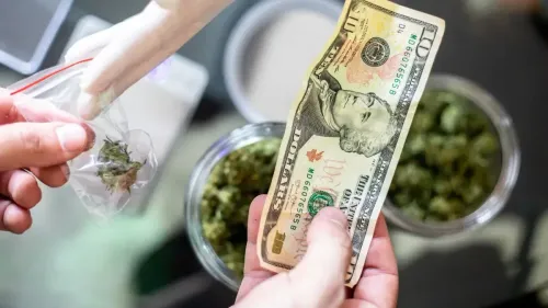 Vendas de cannabis disparam e chegam a US$ 250 milhões