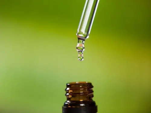 Empresa uruguaia mira mercado brasileiro para fornecer produtos à base de cannabis conforme RDC 327
