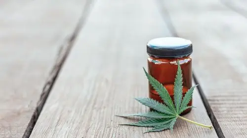 La propuesta de restricción en la importación de Cannabis (RDC 660) genera reacción en el mercado