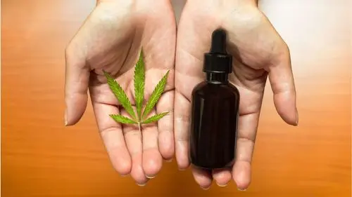 CBD gratuito en São Paulo: conoce cómo será el trabajo y la lista de enfermedades