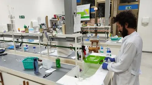 UnB study evaluates quality standard of artisanal production of medicinal cannabis