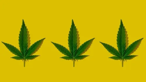 Depressão: o que a cannabis tem a ver com o Setembro Amarelo