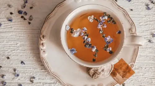 <strong>Saiba quais são as 8 plantas que podem ajudar na ansiedade</strong>