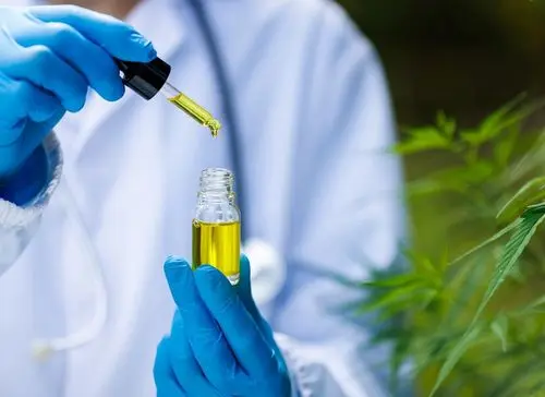Associação del Ceará obtiene autorización judicial para cultivar y producir productos de cannabis