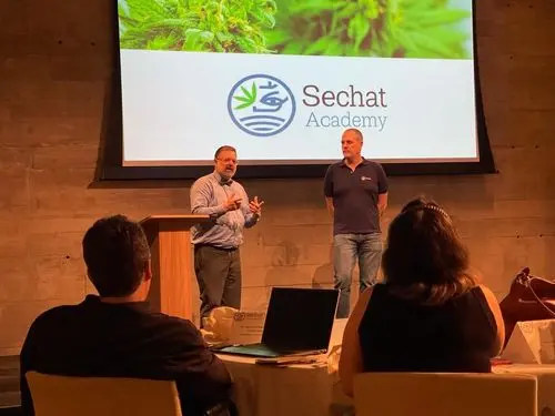Imagem da noticia: O que o médico precisa saber ao prescrever cannabis medicinal 