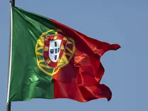 42 empresas de cannabis medicinal ya operan en Portugal
