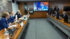 El Senado podría votar en febrero el proyecto que regula el uso medicinal del cannabis