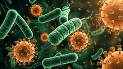 Estudio argentino señala que el CBD puede potenciar los antibióticos contra bacterias resistentes