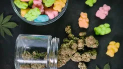 Produtos comestíveis de cannabis: novas exigências dividem reguladores e empresas nos EUA