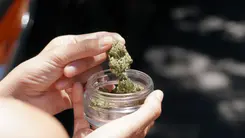 No Canadá: por qué tanta gente está fumando más y más cannabis