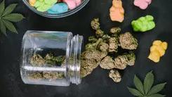  Edibles gain ground in medical cannabis treatment in the US
