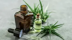 Estudio clínico señala que el cannabidiol puede reducir la presión arterial en pacientes hipertensos