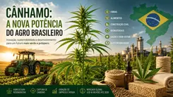 Cânhamo como nova potência do agro brasileiro