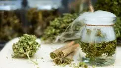 Cheiro de cannabis pode justificar busca policial? Caso chega à Suprema Corte da Carolina do Norte