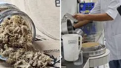 Investigación de la UFV evalúa el uso de fibras de cáñamo para reforzar papel reciclado
