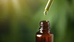 Salvador crea un programa para capacitar a médicos sobre cannabis medicinal en la red pública