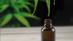 Recreational cannabis vs medical cannabis: is there a difference?