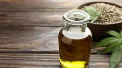 Cuando la calma regresa: aceite con THC y CBD sorprende en estudio sobre demencia