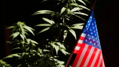 Cannabis en EE. UU.: Carolina del Norte propone vetos al THC
