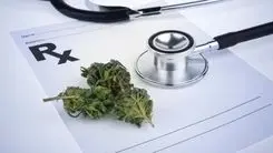 Relatório alemão aponta redução de 84,5% no uso de medicamentos prescritos entre pacientes tratados com cannabis medicinal