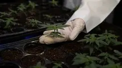 Imersão aborda manejo de solo e discute práticas sustentáveis na produção agrícola