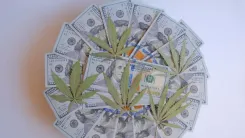Imposto sobre cannabis pode gerar bilhões nos Estados Unidos