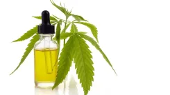 Colômbia esclarece regras para exportação de cannabis ao Brasil por courier