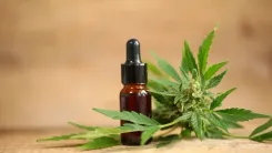 O que é CBD? Entenda como o canabidiol age no nosso corpo
