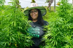 What changes after the final ruling on medical cannabis in Rio