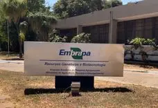 Brasil realiza 1º mapeamento nacional de pesquisadores e instituições que investigam a Cannabis