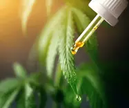 Leading cannabis market company expects release of new products by Anvisa in 2024