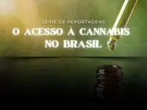 Associations and Access to Medicinal Cannabis in Brazil