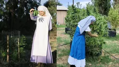 Conocimiento y cultivo: monjas estadounidenses ofrecen cursos de cannabis en Brasil
