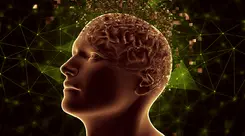 Glioblastoma: How Can Cannabis Help Against One of the Most Aggressive Cancers?