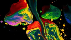 High doses of LSD may help those living with depression