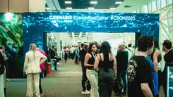 Estudante de veterinária destaca networking como chave para entrar no mercado canábico