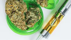 Prohibición del HHC en España: conoce los cannabinoides prohibidos y los impactos en el mercado