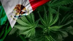 Estudio muestra aumento del consumo de drogas en adultos y disminución entre adolescentes en México