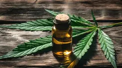Pesquisa internacional cobra mais rigor científico no uso da cannabis medicinal