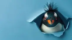 Pingüino es tratado con derivados de cannabis, música y acupuntura para la recuperación de una lesión en la columna