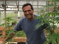 Professor in charge of cannabis genetic bank answers questions about market monopoly