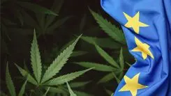 Aurora Cannabis obtiene derechos exclusivos sobre dos variedades de cannabis en la Unión Europea