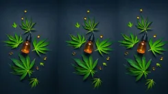 Tem ansiedade? Veja como o CBD pode ser um aliado