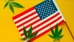 Cannabis medicinal nos EUA: entenda como ter acesso