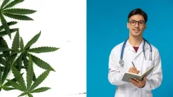 Cannabis na medicina: o que falta aos futuros médicos?