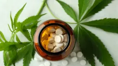 Comprimido de cannabis mostra efeito rápido contra a dor